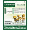 Cambodian Growkit - 1200cc