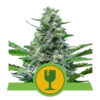 Royal Critical Auto (Royal Queen Seeds)